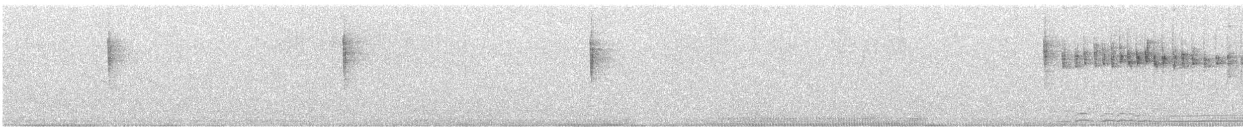 Red-faced Warbler - ML642786548