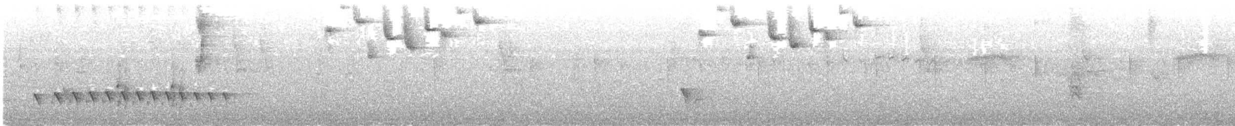 Dusky Antbird - ML642786780