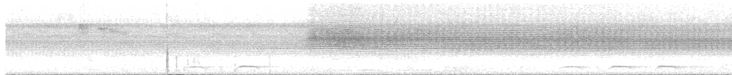 White-throated Manakin - ML642787680