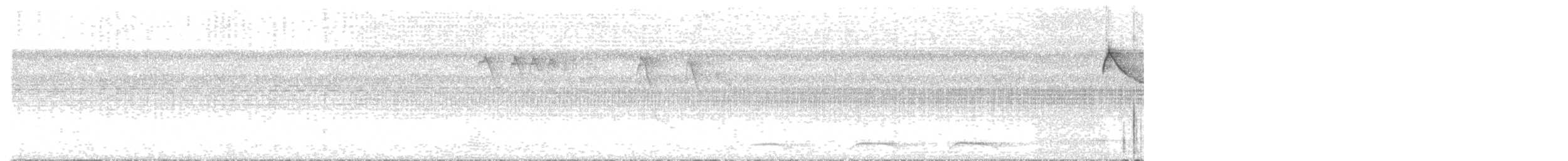 White-throated Manakin - ML642787681