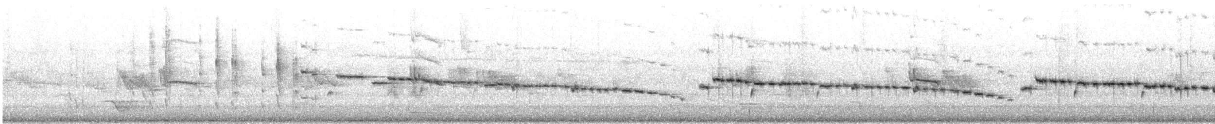 Gray Gerygone - ML642788771