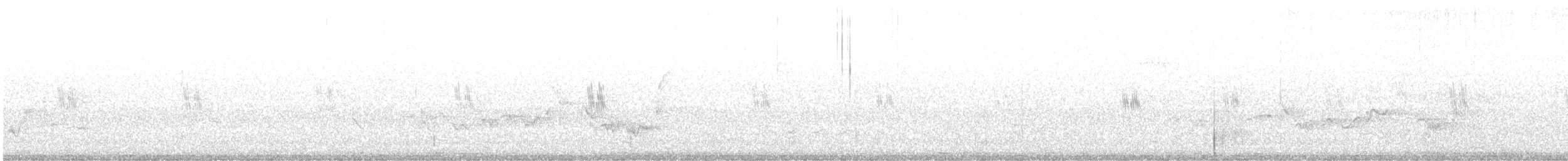 Warbling Vireo (Eastern) - ML642789175