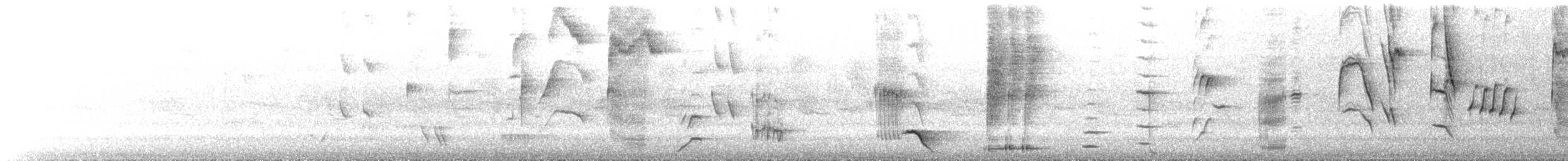 Tui - ML642789346