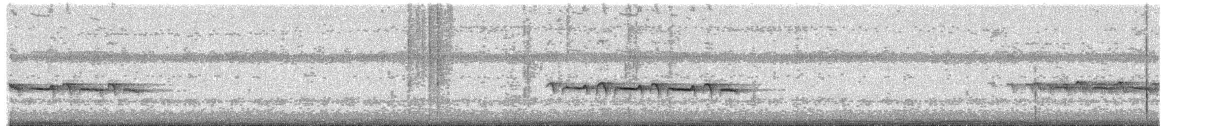 Ferruginous-backed Antbird - ML642789762