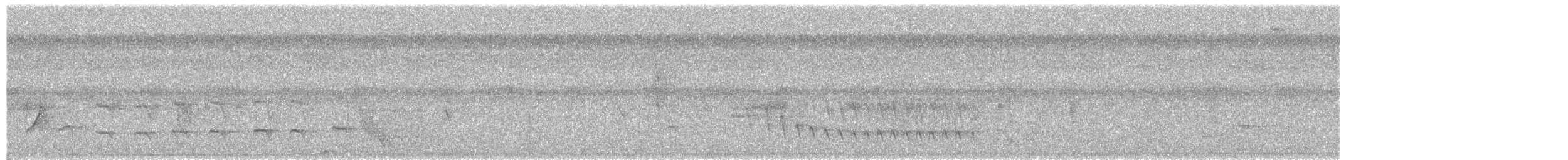 White-flanked Antwren - ML642790985