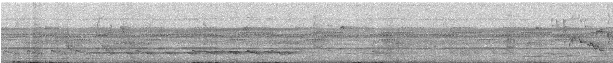 Goeldi's Antbird - ML642791186