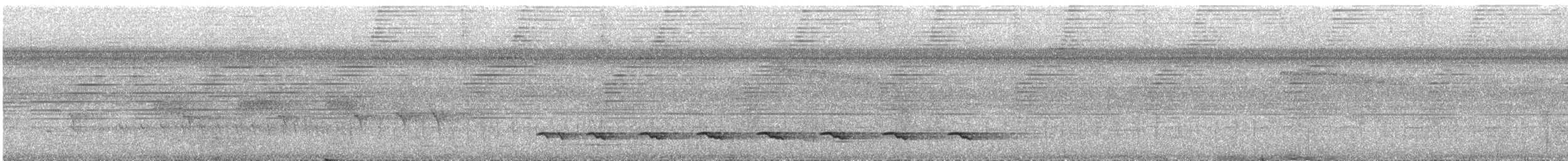 Goeldi's Antbird - ML642791191