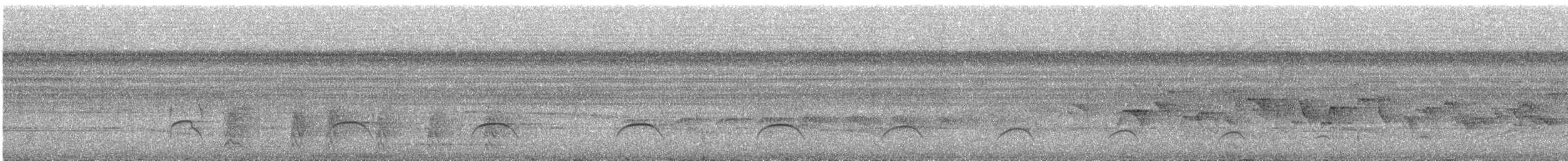 Sclater Keşişkuşu - ML642791436