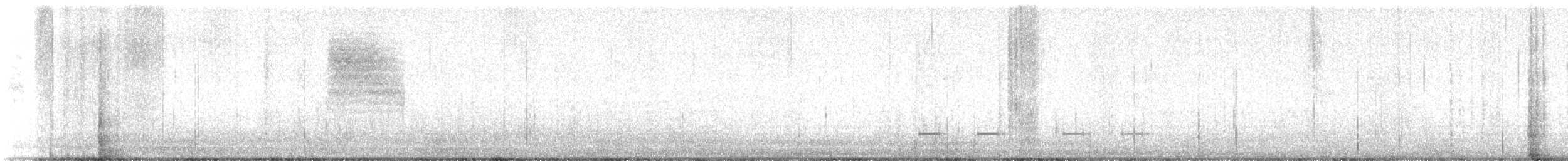 Black-tailed Gnatcatcher - ML642791480