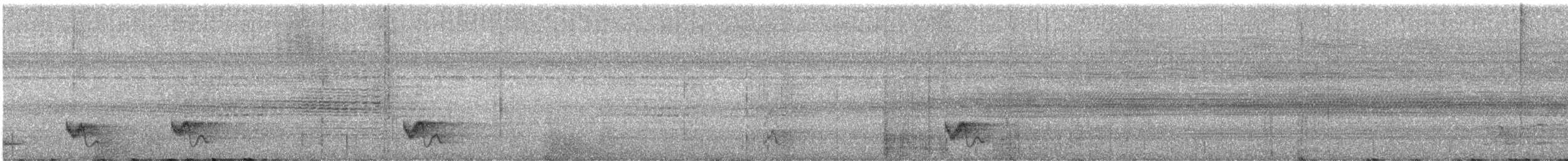 Swallow-tailed Manakin - ML642792071