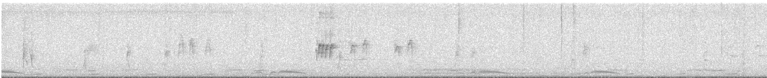 Tyran pitangua - ML642792475