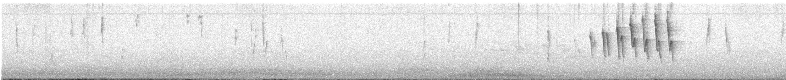 Paruline à calotte noire - ML642792530