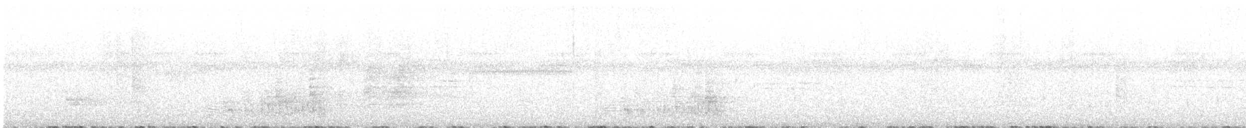 South Melanesian Cuckooshrike - ML642795323
