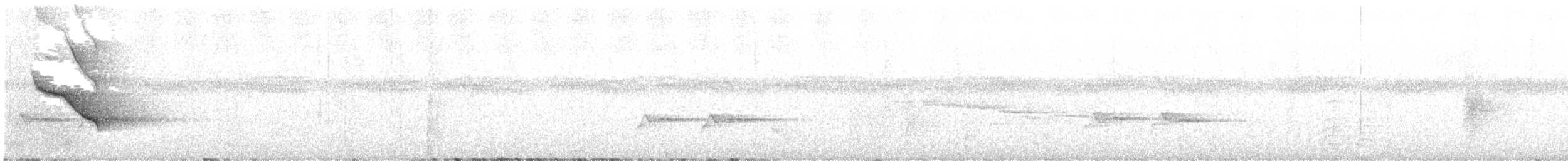 South Melanesian Cuckooshrike - ML642795324