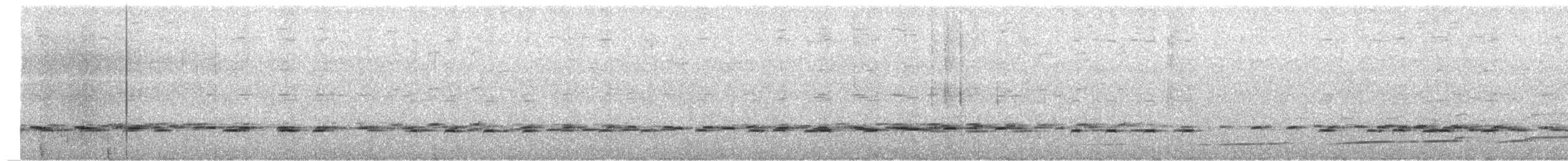 Band-tailed Guan - ML642795622