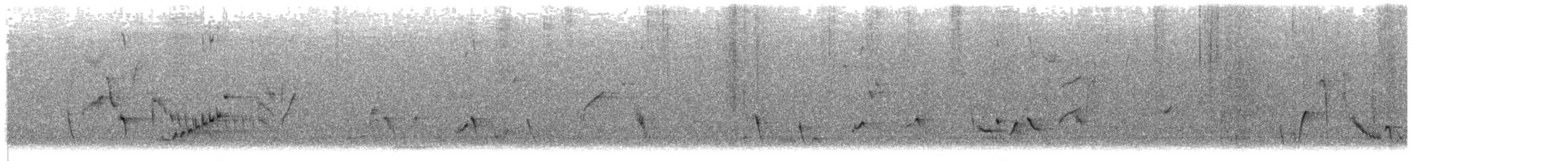 Mountain Thornbill - ML642796516