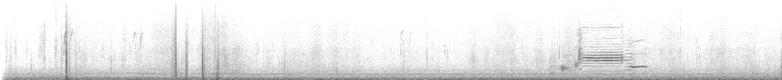 null - ML642797096