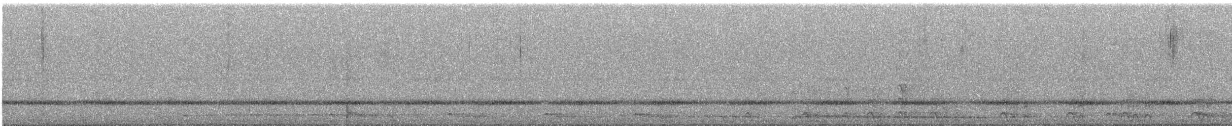 Western Screech-Owl - ML642797313