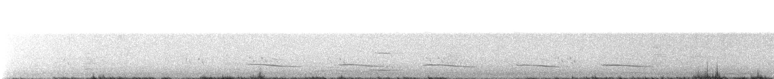 Pied Currawong - ML642797724