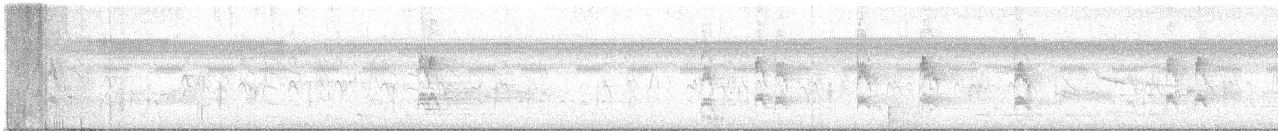 Red-cockaded Woodpecker - ML642800910