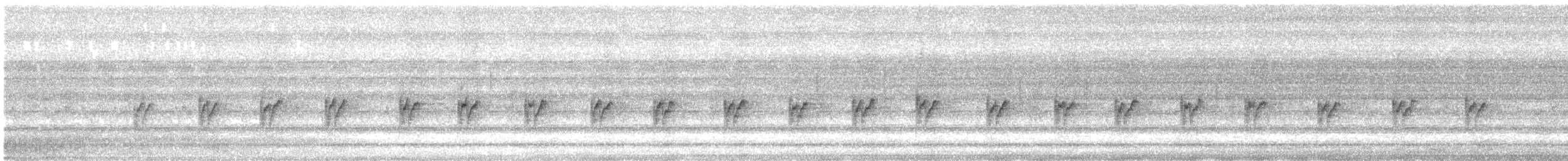 Prinia à sourcils - ML642801717