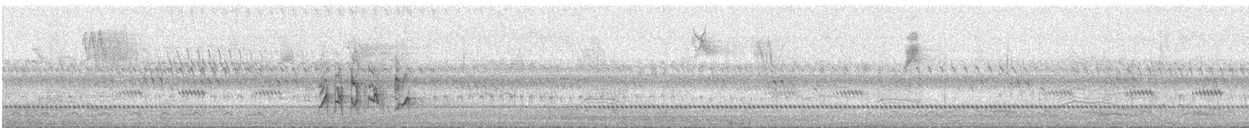 Wanderdrossel - ML642801963