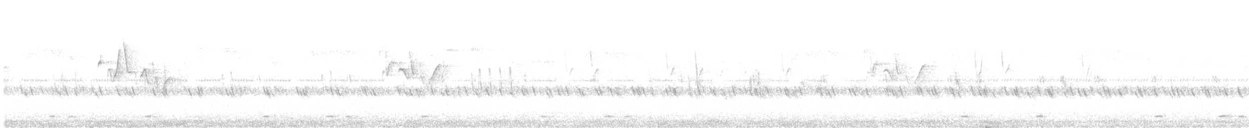 Bar-backed Partridge - ML642802519