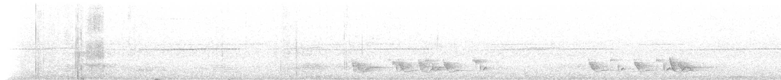 Swallow-tailed Manakin - ML642802684