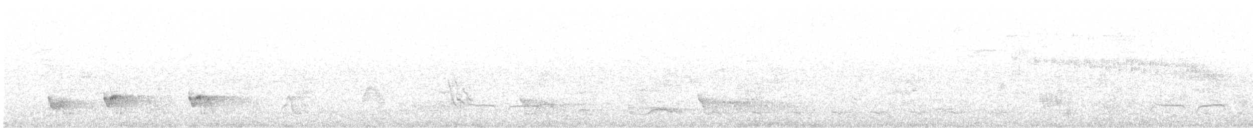 Swallow-tailed Manakin - ML642802740