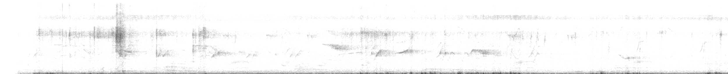 Plum-headed Parakeet - ML642803423