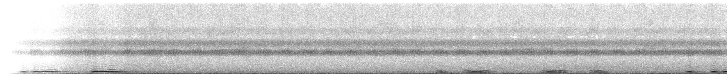 výr virginský - ML642803535