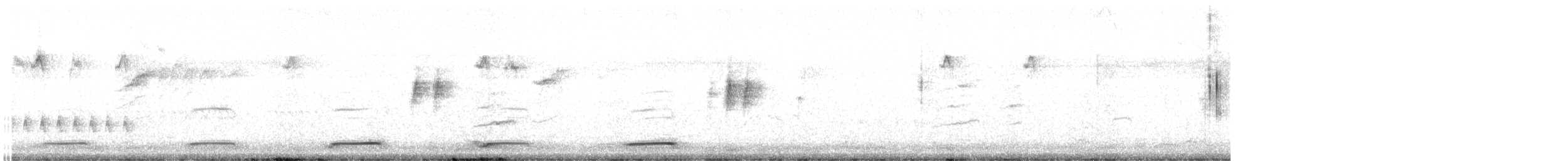 Channel-billed Cuckoo - ML642803765