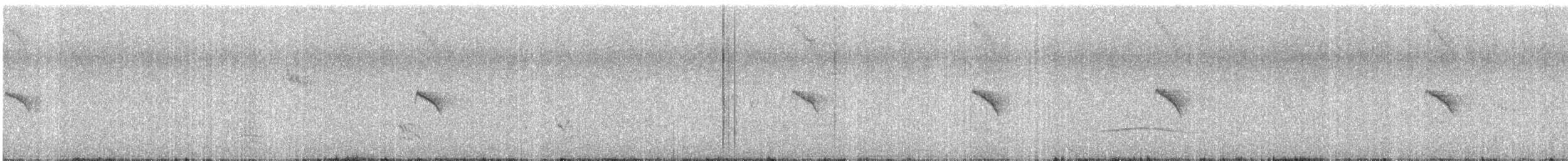 Iberian Chiffchaff - ML642804976