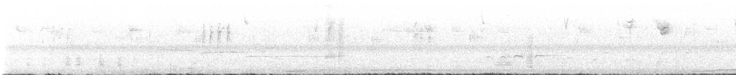 Plongeon huard - ML642805471
