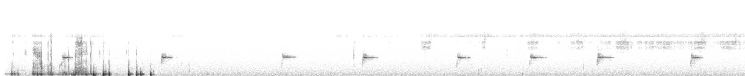 ムナジロモリミソサザイ - ML642805987