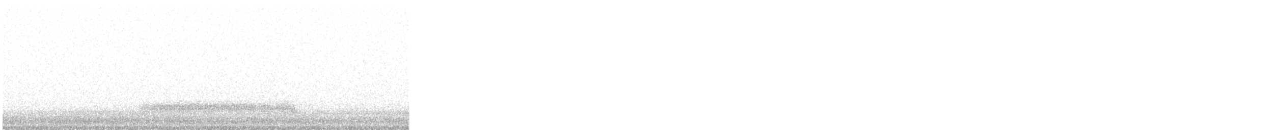 Western Barn Owl - ML642811348