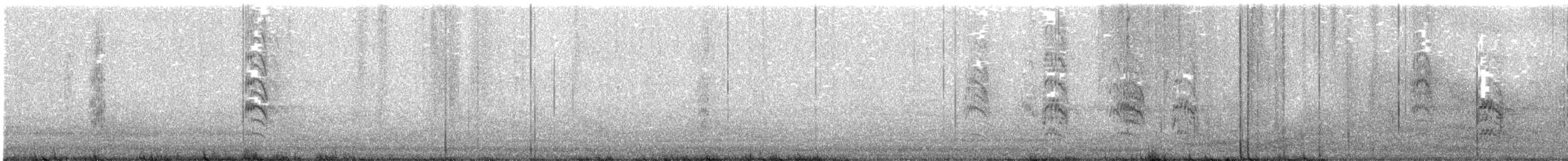 Nanday Parakeet - ML642811480