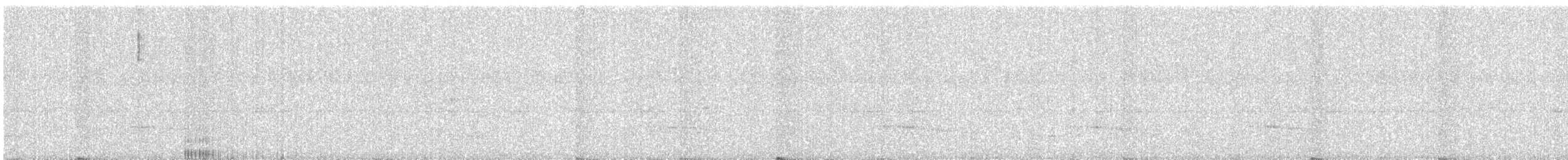 Gray-bellied Cuckoo - ML642811509