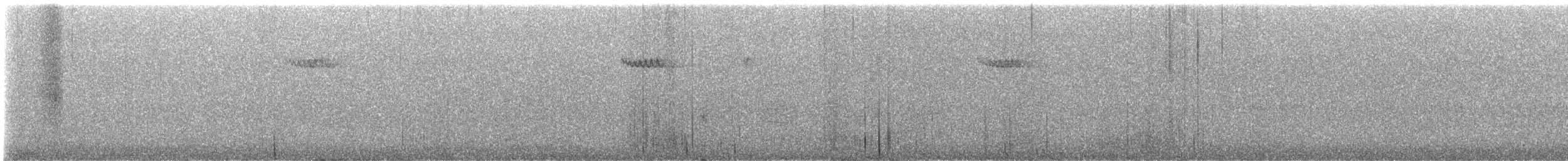 Brown Creeper - ML642811554