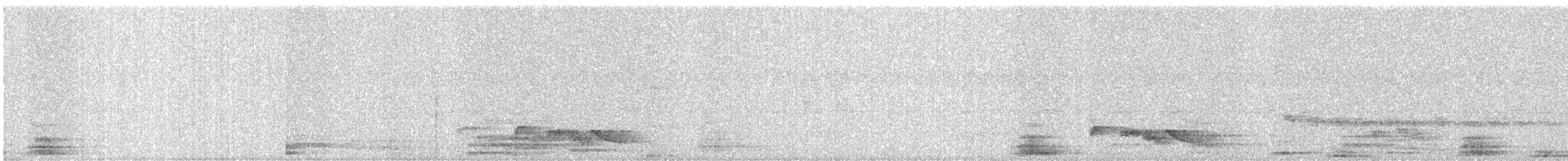 Red-vented Bulbul - ML642811558