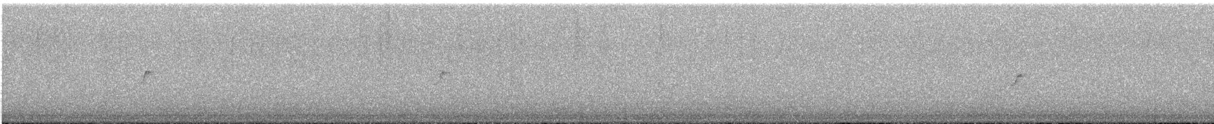 Хөх зоот гургалдай - ML642812854