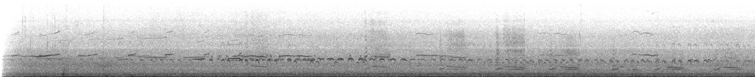 Magellanic Oystercatcher - ML642814241