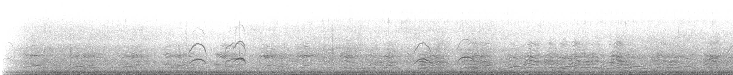 Dolphin Gull - ML642814266