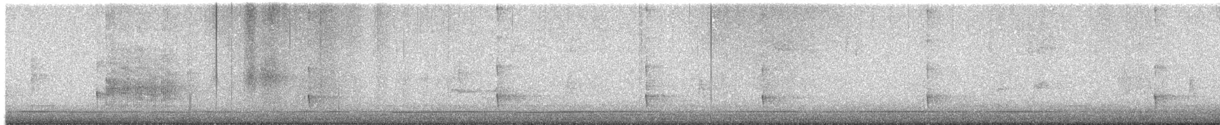 Schwarzrückenspecht - ML642815260