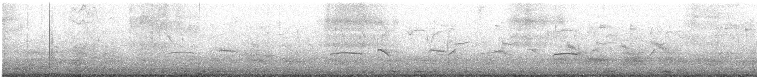 Southern Beardless-Tyrannulet - ML642815566