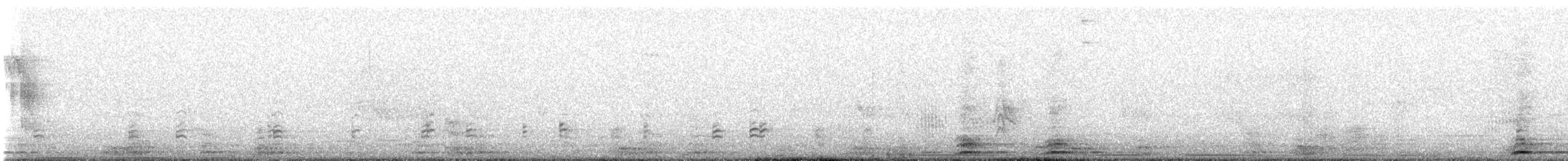 Ibis à face noire - ML642816277