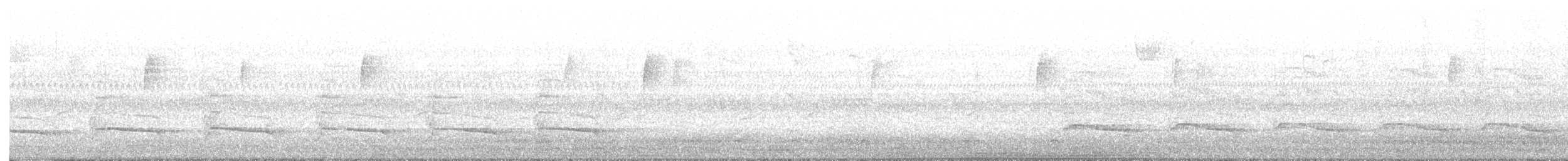 Red-shouldered Hawk - ML642816886