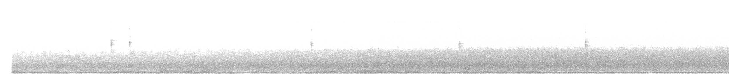 Eurasian Collared-Dove - ML642816934