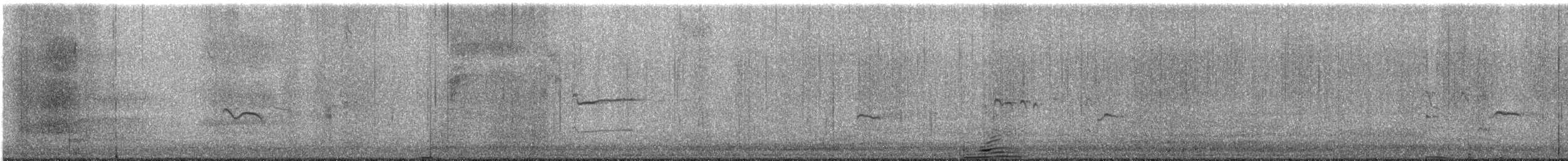 American Golden-Plover - ML642817594