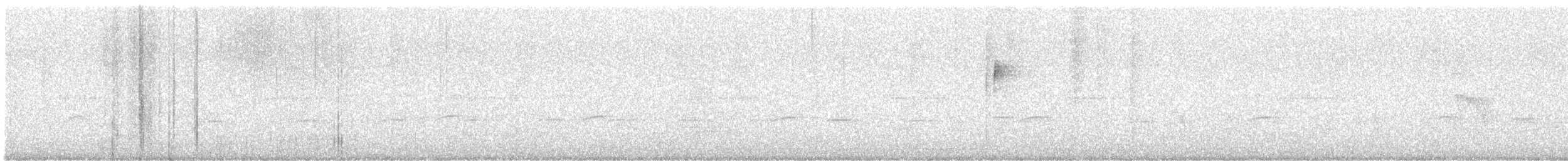Microbate à long bec - ML642817671